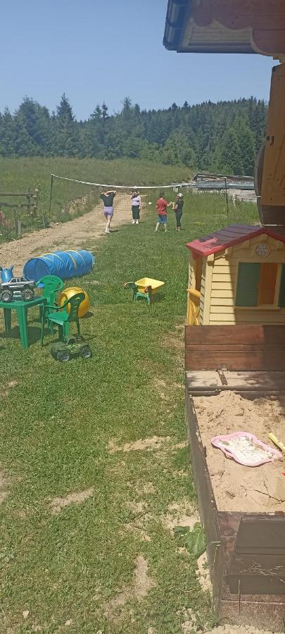 Villa Gosciniec Dziubasowki Nowy Targ Exterior foto
