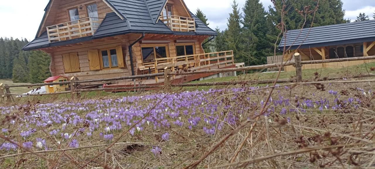 Villa Gosciniec Dziubasowki Nowy Targ Exterior foto